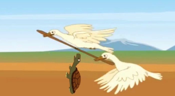 The Talkative Tortoise